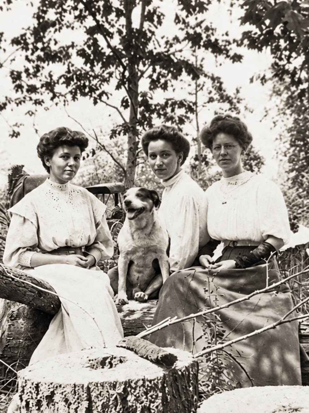Antique Edwardian Photo 3 Women & Dog + Framed Enlarged Print Set